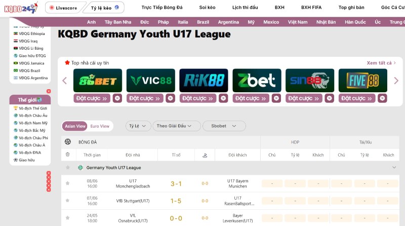 Germany Youth U17 League