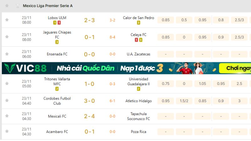 KQBD 247 thống kê chi tiết trận đấu, hỗ trợ fan và người chơi cá cược